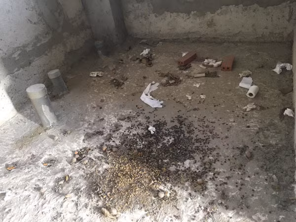 Cảnh ám ảnh trong biệt thự tiền tỷ, cỏ mọc um tùm ở Sài Gòn