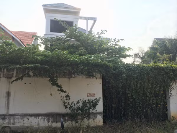 Cảnh ám ảnh trong biệt thự tiền tỷ, cỏ mọc um tùm ở Sài Gòn