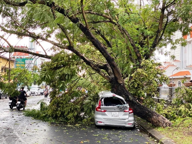 Bão số 5 gây ảnh hưởng lớn đối với người dân Huế.