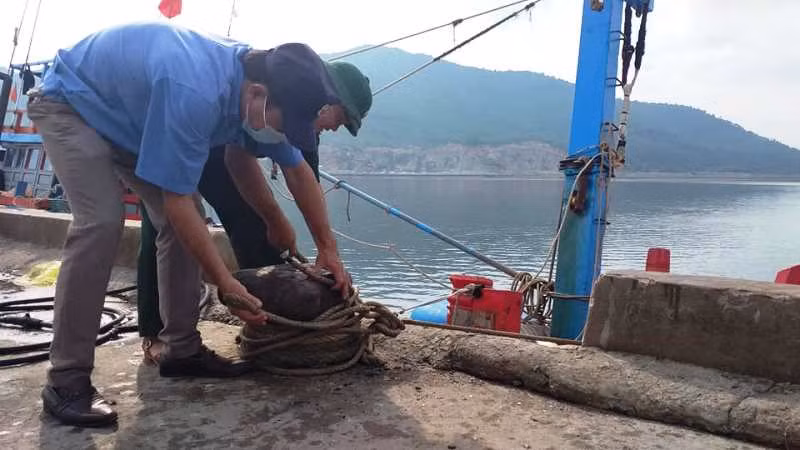 Chằng néo tàu thuyền an toàn.
