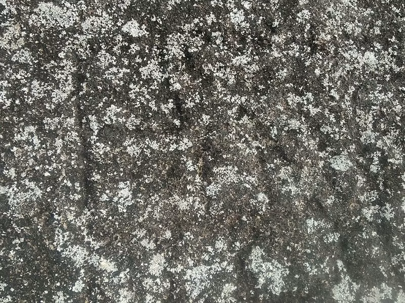 Thực hư bãi đá cổ Sa Pa bị 