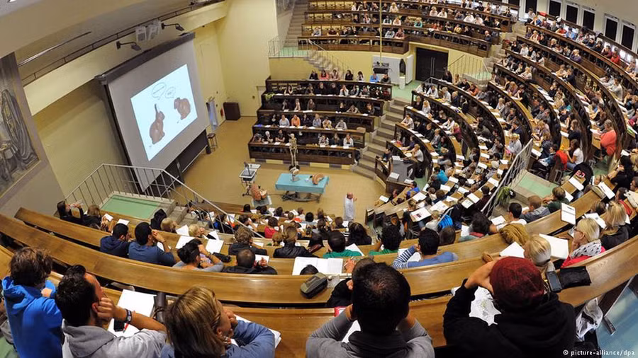 Du học sinh có thể làm gì sau khi tốt nghiệp nước ngoài? - Ảnh 2.