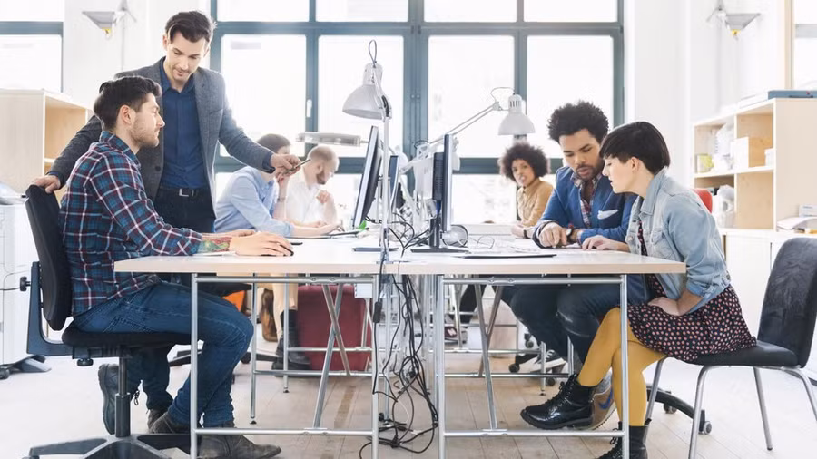 Du học sinh có thể làm gì sau khi tốt nghiệp nước ngoài? - Ảnh 3.