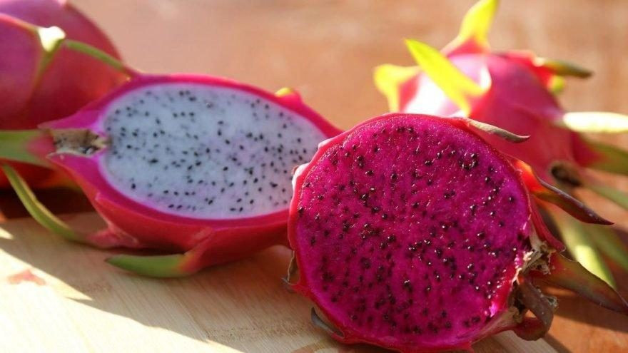 ejder-meyvesi-dha_16_9_1535963974-880x495_16_9_1536052099-880x495