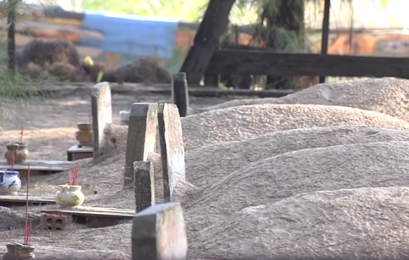 Những nấm mộ cá Ông đều được chôn quay mặt về phía biển. Những nấm mộ cá Ông đều được chôn quay mặt về phía biển.