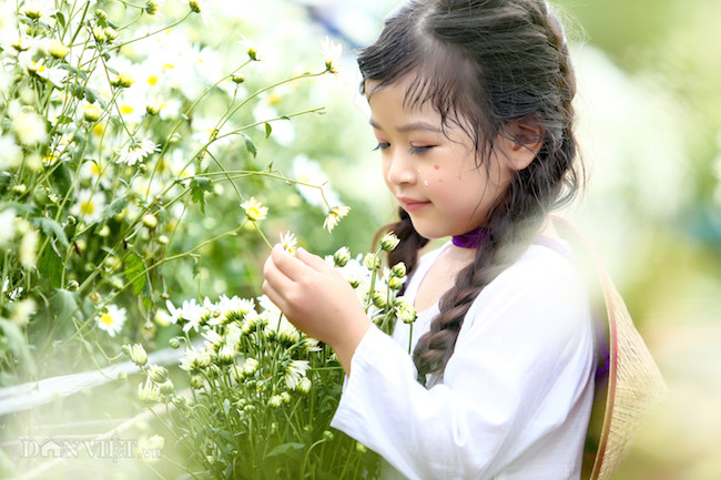 Phía sau những bức ảnh cúc họa mi đẹp là... cả dàn "bắn tỉa" có tâm hình ảnh 11 phia sau nhung buc anh cuc hoa mi dep la... ca dan "ban tia" co tam hinh anh 11