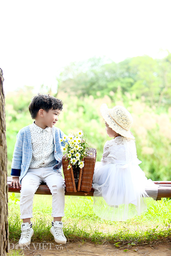Phía sau những bức ảnh cúc họa mi đẹp là... cả dàn "bắn tỉa" có tâm hình ảnh 13 phia sau nhung buc anh cuc hoa mi dep la... ca dan "ban tia" co tam hinh anh 13