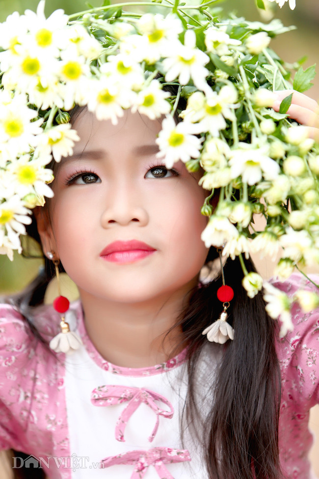 Phía sau những bức ảnh cúc họa mi đẹp là... cả dàn "bắn tỉa" có tâm hình ảnh 12 phia sau nhung buc anh cuc hoa mi dep la... ca dan "ban tia" co tam hinh anh 12