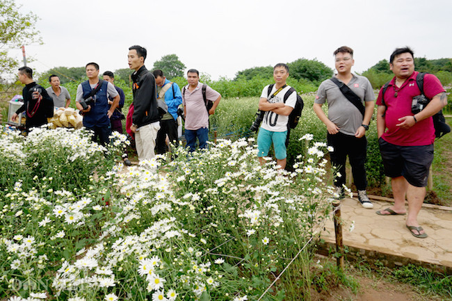 Phía sau những bức ảnh cúc họa mi đẹp là... cả dàn "bắn tỉa" có tâm hình ảnh 15 phia sau nhung buc anh cuc hoa mi dep la... ca dan "ban tia" co tam hinh anh 15