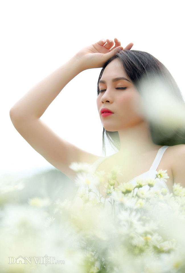 Phía sau những bức ảnh cúc họa mi đẹp là... cả dàn "bắn tỉa" có tâm hình ảnh 3 phia sau nhung buc anh cuc hoa mi dep la... ca dan "ban tia" co tam hinh anh 3