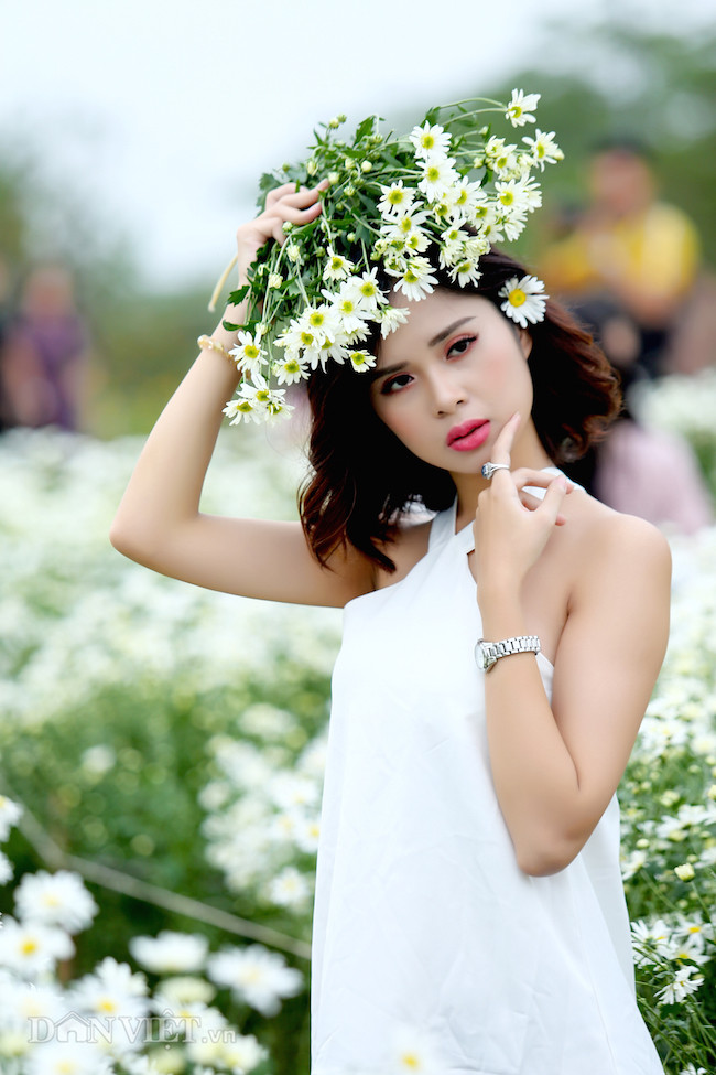 Phía sau những bức ảnh cúc họa mi đẹp là... cả dàn "bắn tỉa" có tâm hình ảnh 4 phia sau nhung buc anh cuc hoa mi dep la... ca dan "ban tia" co tam hinh anh 4