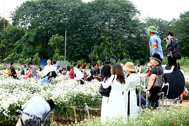 Phía sau những bức ảnh cúc họa mi đẹp là... cả dàn "bắn tỉa" có tâm hình ảnh 16 phia sau nhung buc anh cuc hoa mi dep la... ca dan "ban tia" co tam hinh anh 16