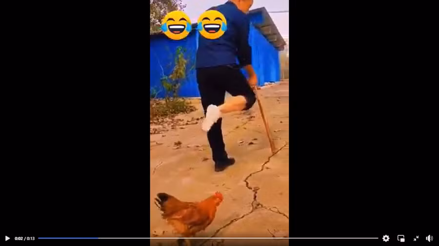 Clip: Chết cười gà trống "cà khịa" chủ 