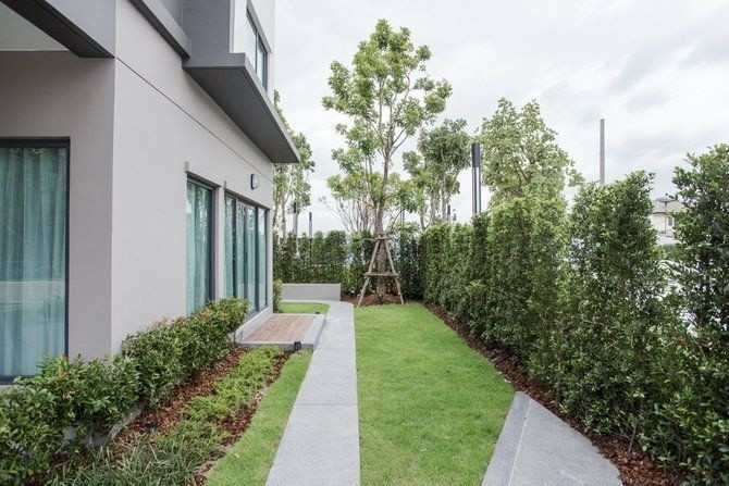 Nhà nhỏ có khu vườn xanh bao quanh đẹp lịm tim ảnh 4 Nhà nhỏ mà có khu vườn xanh xinh đẹp bao quanh khiến ai nấy đều lịm tim