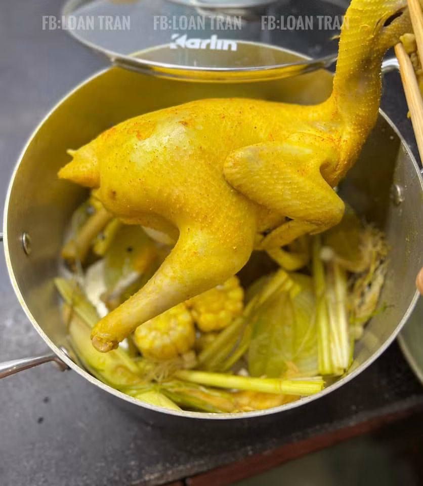 Gà sau khi luộc xong, căng mọng.