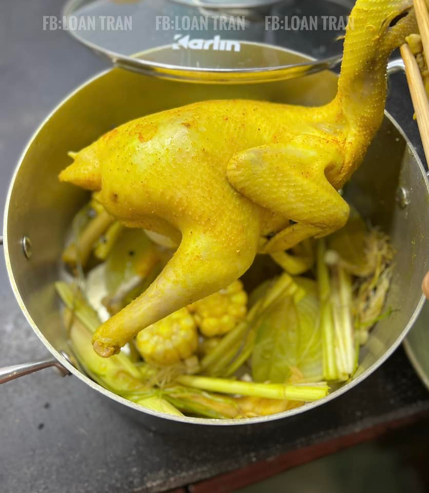 Gà sau khi luộc xong, căng mọng. Gà sau khi luộc xong, căng mọng.