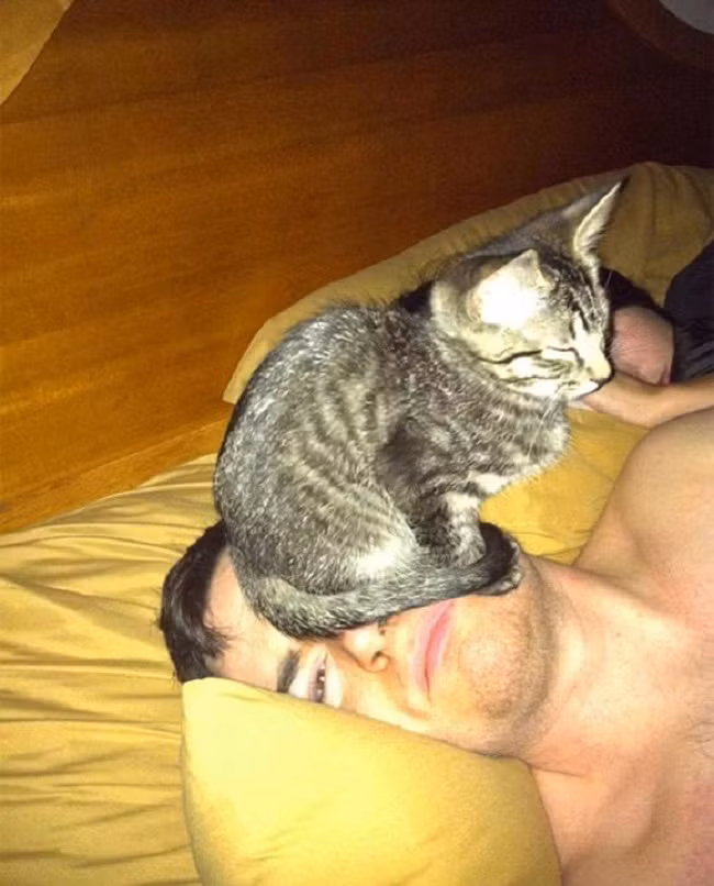 Cười vỡ bụng với những khoảnh khắc đội quân thú cưng phản chủ - Ảnh 19.