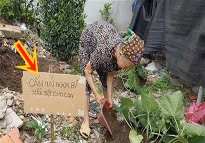 Với thông báo này, tốt nhất mẹ bỉm sữa nên tránh xa.