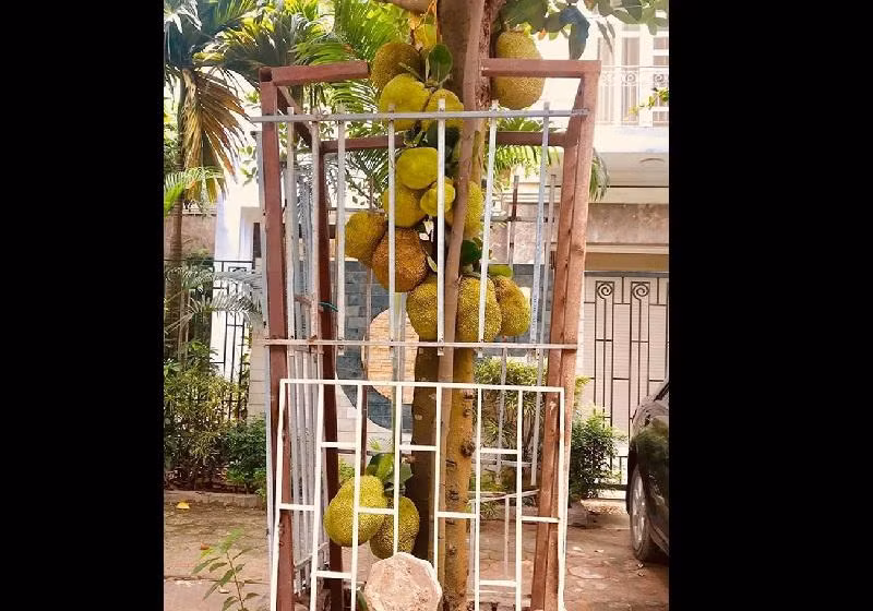 Với cách này, gia chủ yên tâm ngủ ngon giấc.