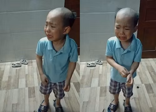 Cậu bé tự cắt tóc khiến phụ huynh cười ra nước mắt