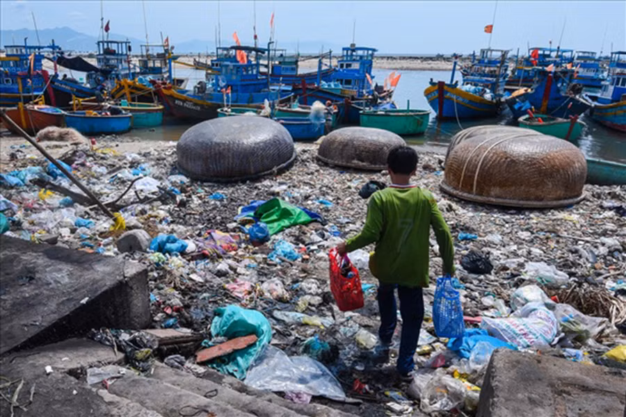 Sống chung với rác