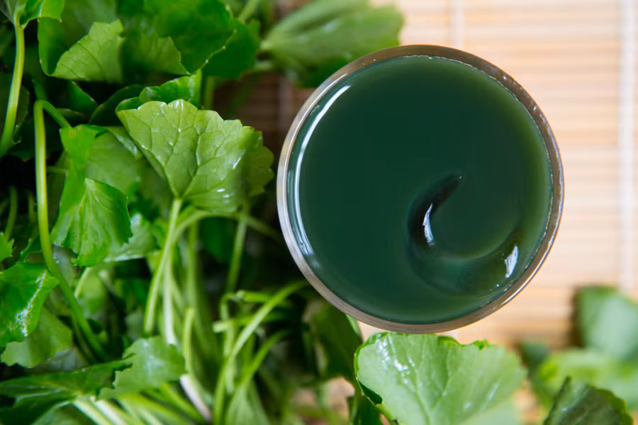 Các nhà sản xuất thường thêm chiết xuất rau má trong các loại kem dưỡng ẩm dành cho da khô và nhạy cảm. (Ảnh: ITN).