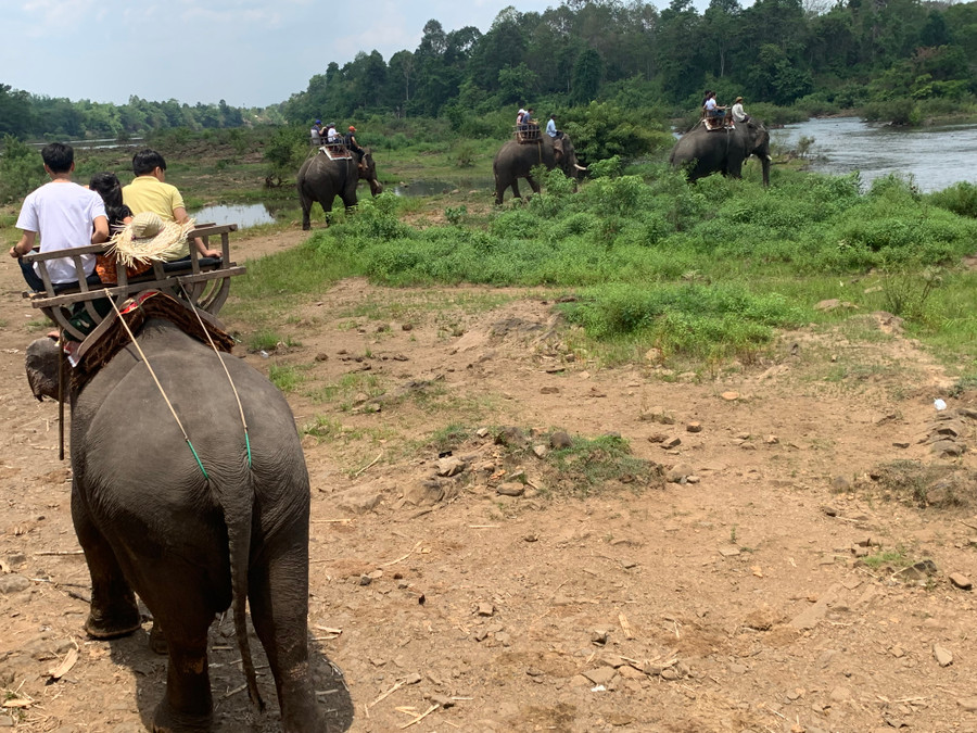 Du khách cưỡi voi dạo chơi trên sống Sêrêpốk Du khách cưỡi voi dạo chơi trên sống Sêrêpốk