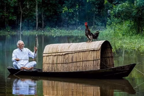 3 điều người thông minh không hỏi nhưng kẻ dại cứ hỏi hoài