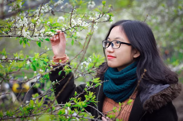 Nhiều du khách từ xa đến thưởng ngoạn hào hứng trước vườn mận hoa nở trắng, đâu đó điểm xuyến những trái mận đầu mùa