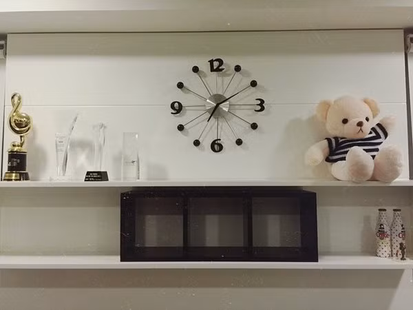 nha-sang-chanh-cua-son-tung-thuc-chat-la-biet-thu-cua-cao-thai-son-9