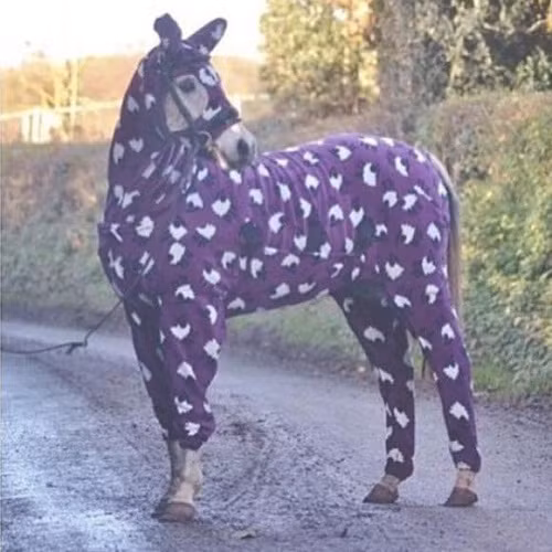 Phục trang chống rét của bạch mã hoàng tử.