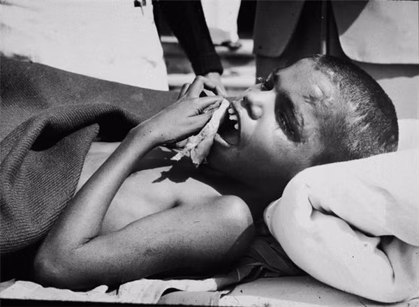 Shamdeo với hàm răng được mài sắc để xé thức ăn.