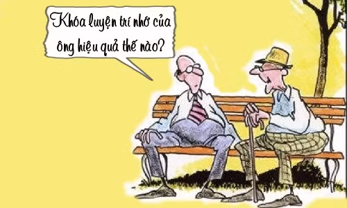 Hiệu quả luyện trí nhớ 