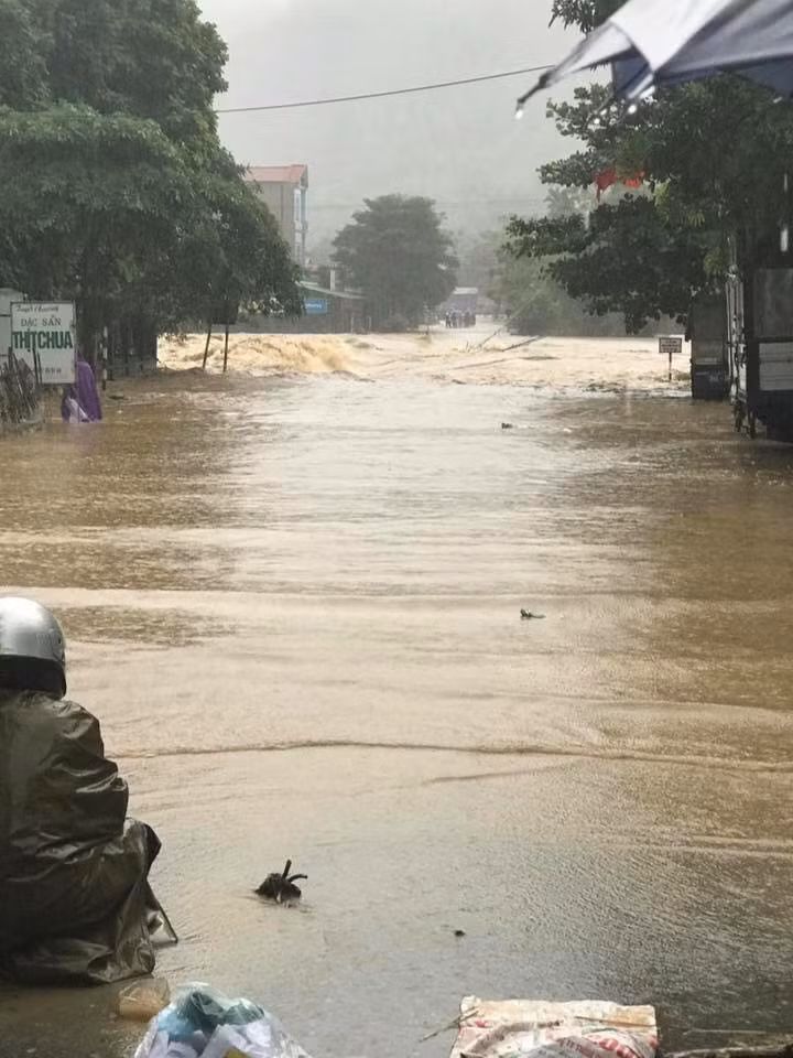 (Ảnh: Diệu Linh)