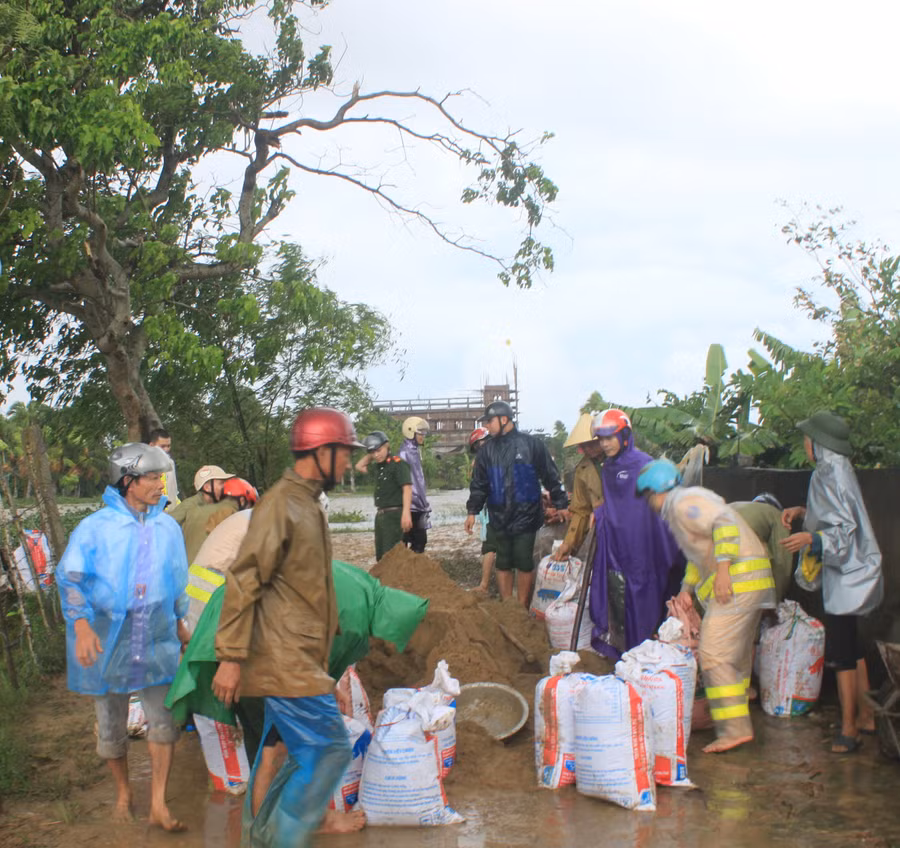 Huy động lực lượng khắc phục sự cố vỡ đê tại xã Tế Nông, huyện Nông Cống, Thanh Hóa