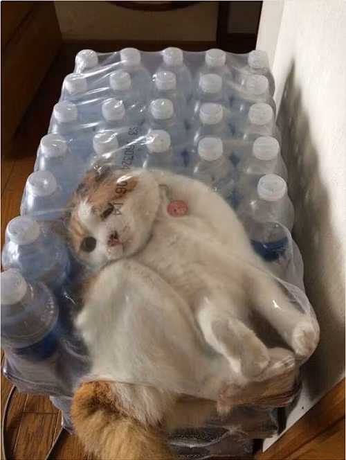 10-anh-hai-hot-nhat-facebook-trong-ngay-4