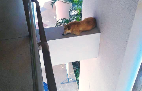 10-anh-hai-hot-nhat-facebook-trong-ngay-6