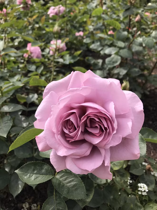 20 bằng chứng cho thấy thế giới xung quanh chúng ta kỳ diệu đến bất ngờ - Ảnh 17.