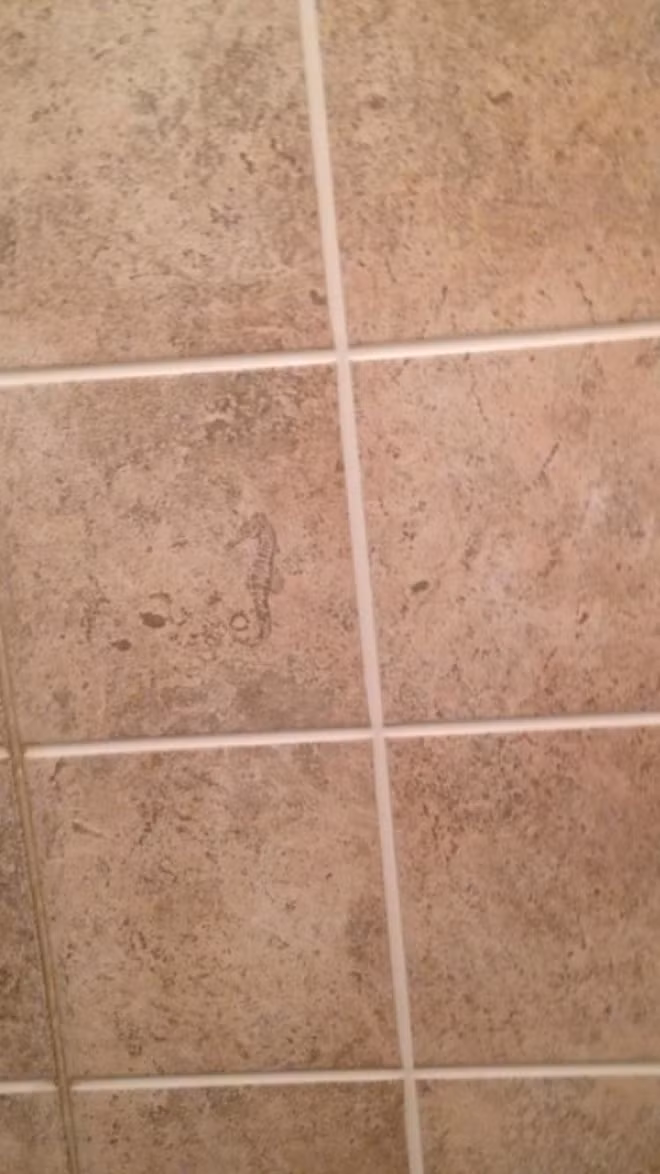 20 bằng chứng cho thấy thế giới xung quanh chúng ta kỳ diệu đến bất ngờ - Ảnh 9.