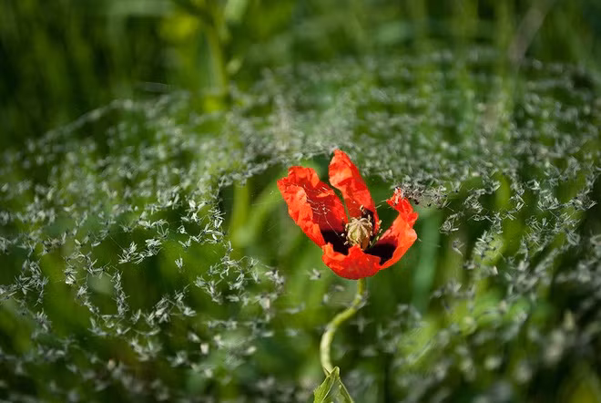 20 bằng chứng cho thấy thế giới xung quanh chúng ta kỳ diệu đến bất ngờ - Ảnh 22.