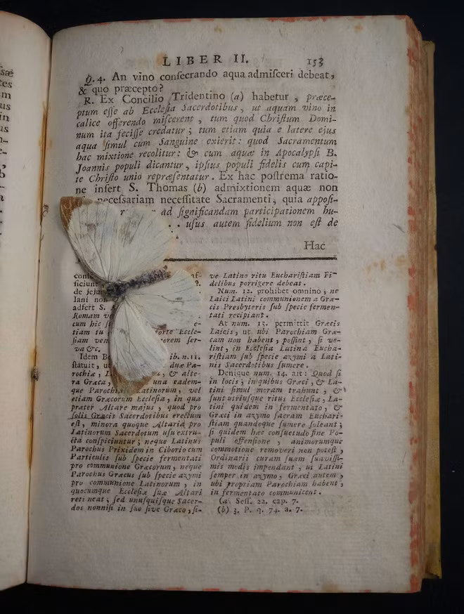 20 bằng chứng cho thấy thế giới xung quanh chúng ta kỳ diệu đến bất ngờ - Ảnh 3.