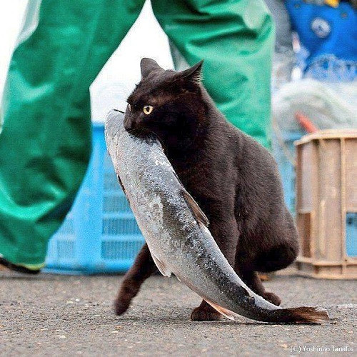 10-anh-hai-hot-nhat-facebook-trong-ngay-2