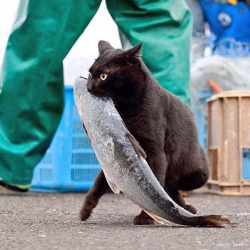 10-anh-hai-hot-nhat-facebook-trong-ngay-2