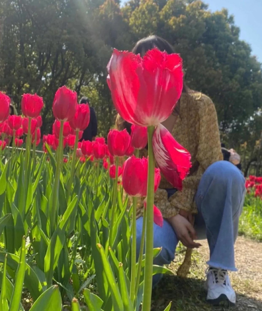 Các ông chồng nhiệt tình thì có mà tay nghề chắc phải chấm điểm âm. Các ông chồng nhiệt tình thì có mà tay nghề chắc phải chấm điểm âm.