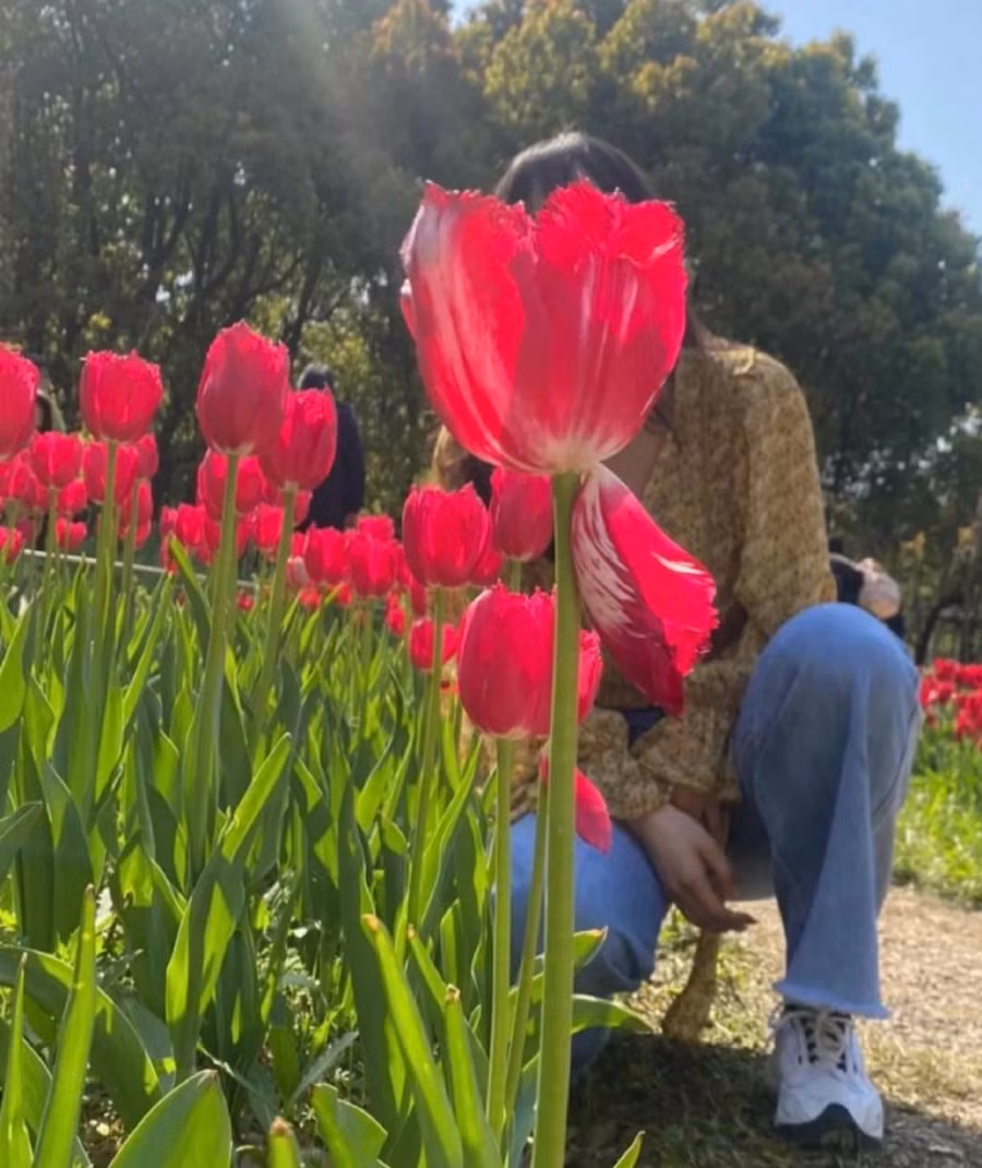 Các ông chồng nhiệt tình thì có mà tay nghề chắc phải chấm điểm âm.