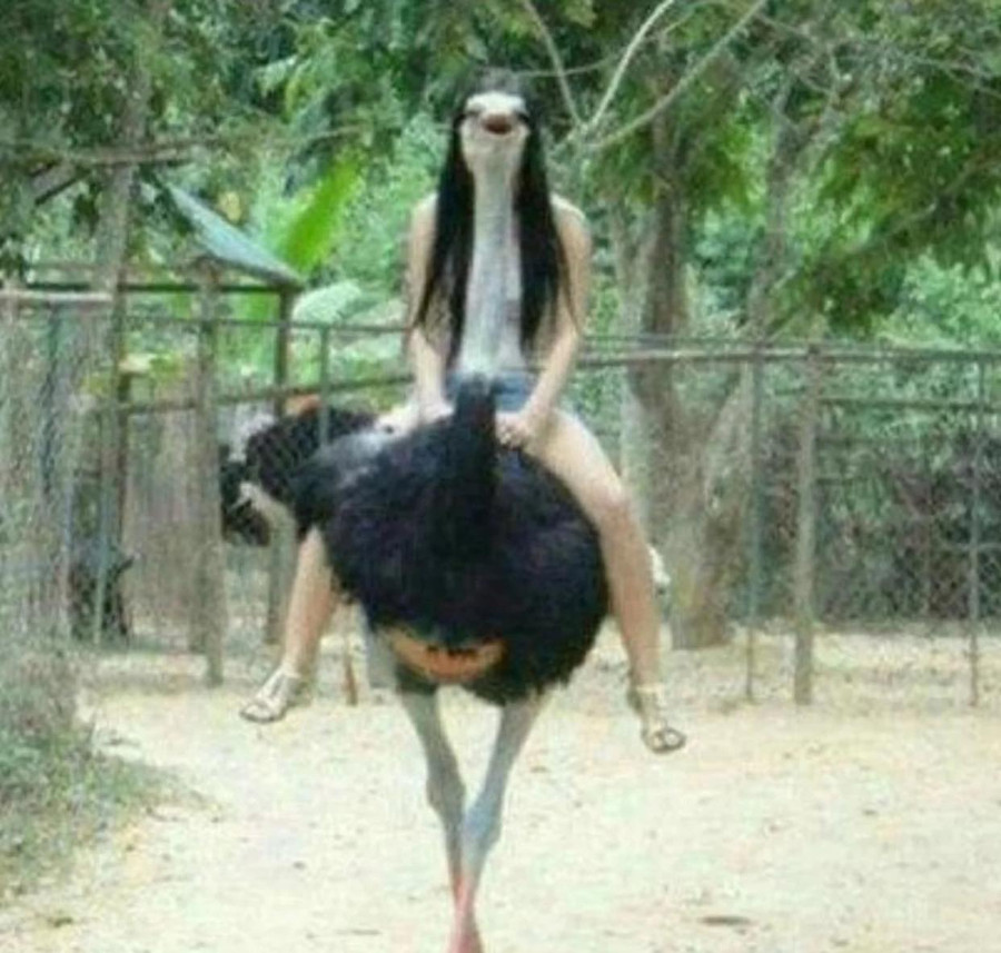 Đôi chỉ cũng chỉ mong các chàng chụp cho một tấm ảnh trông mình... bình thường nhất có thể mà cũng không được. Đôi chỉ cũng chỉ mong các chàng chụp cho một tấm ảnh trông mình... bình thường nhất có thể mà cũng không được.