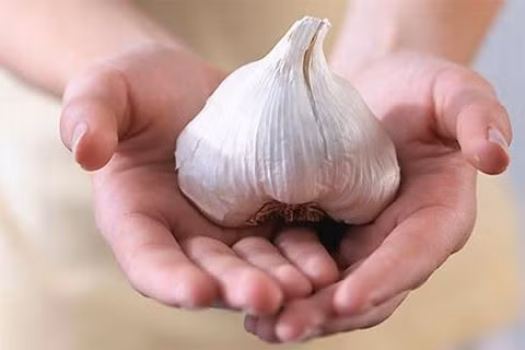 ban can biet: toi rat tot nhung lai dai ky cac thuc pham nay - 5