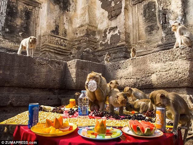 Nhung le hoi la lung tren the gioi hinh anh 6