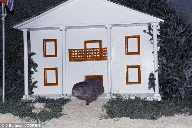 Nhung le hoi la lung tren the gioi hinh anh 5