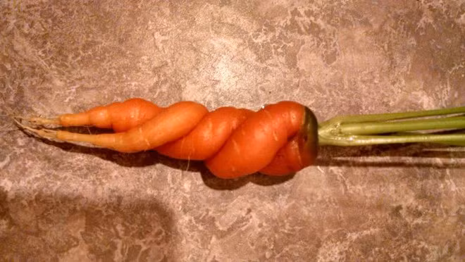 Những thứ rau củ phá vỡ mọi phép tắc khiến ai cũng phải giật mình nhìn lại - Ảnh 5.